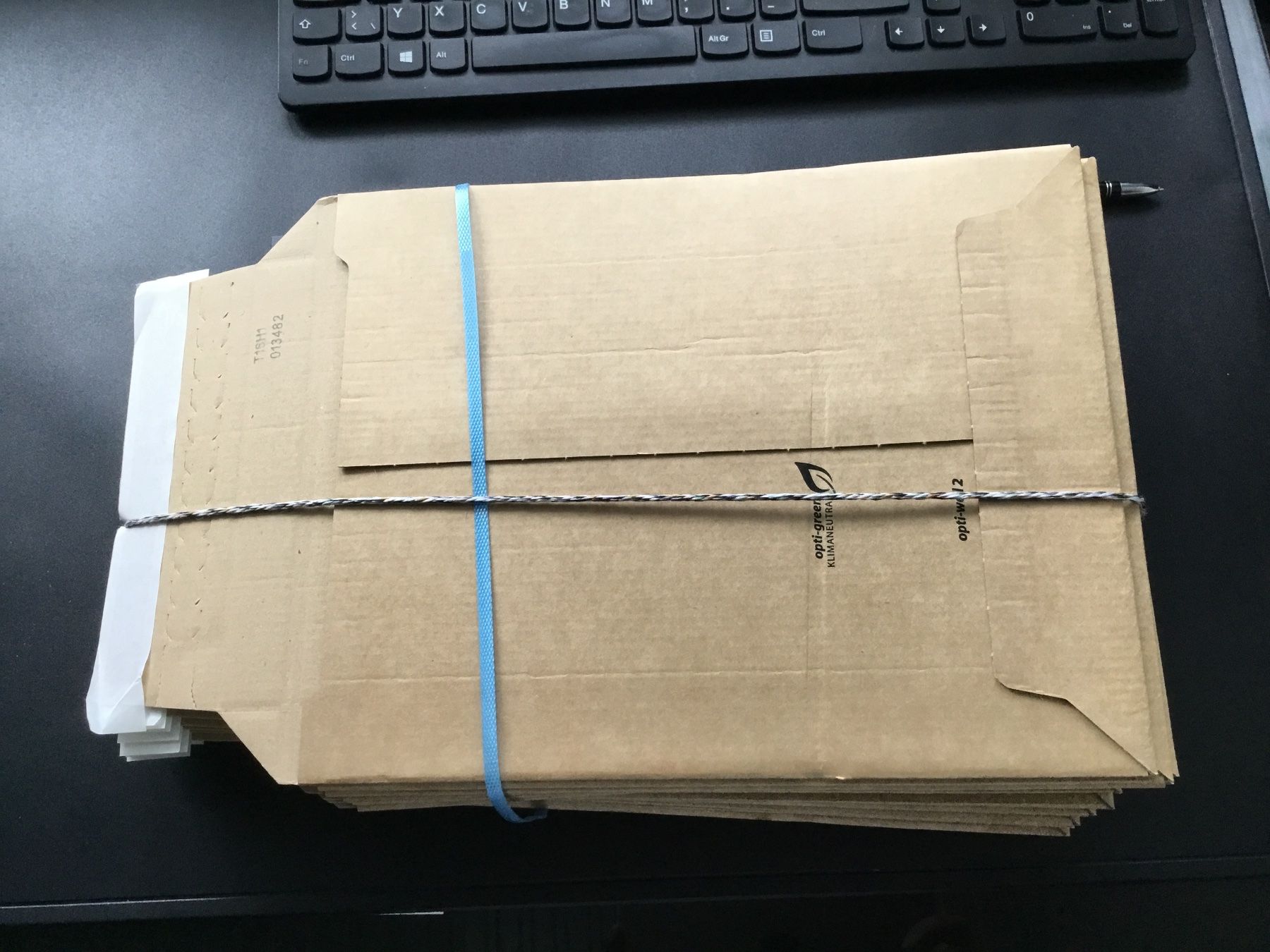 Buste & buste per spedizione: 100 Versandtasche  21x29 cm. – Nuovo e nell'imballaggio originale da St. Margrethen SG venduto da alfapeugeot10 5