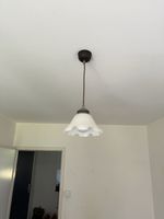 Hängeleuchte /Deckenlampe (4)