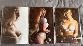 Lot de 3 plaques métal pin-up vintage charme déco garage