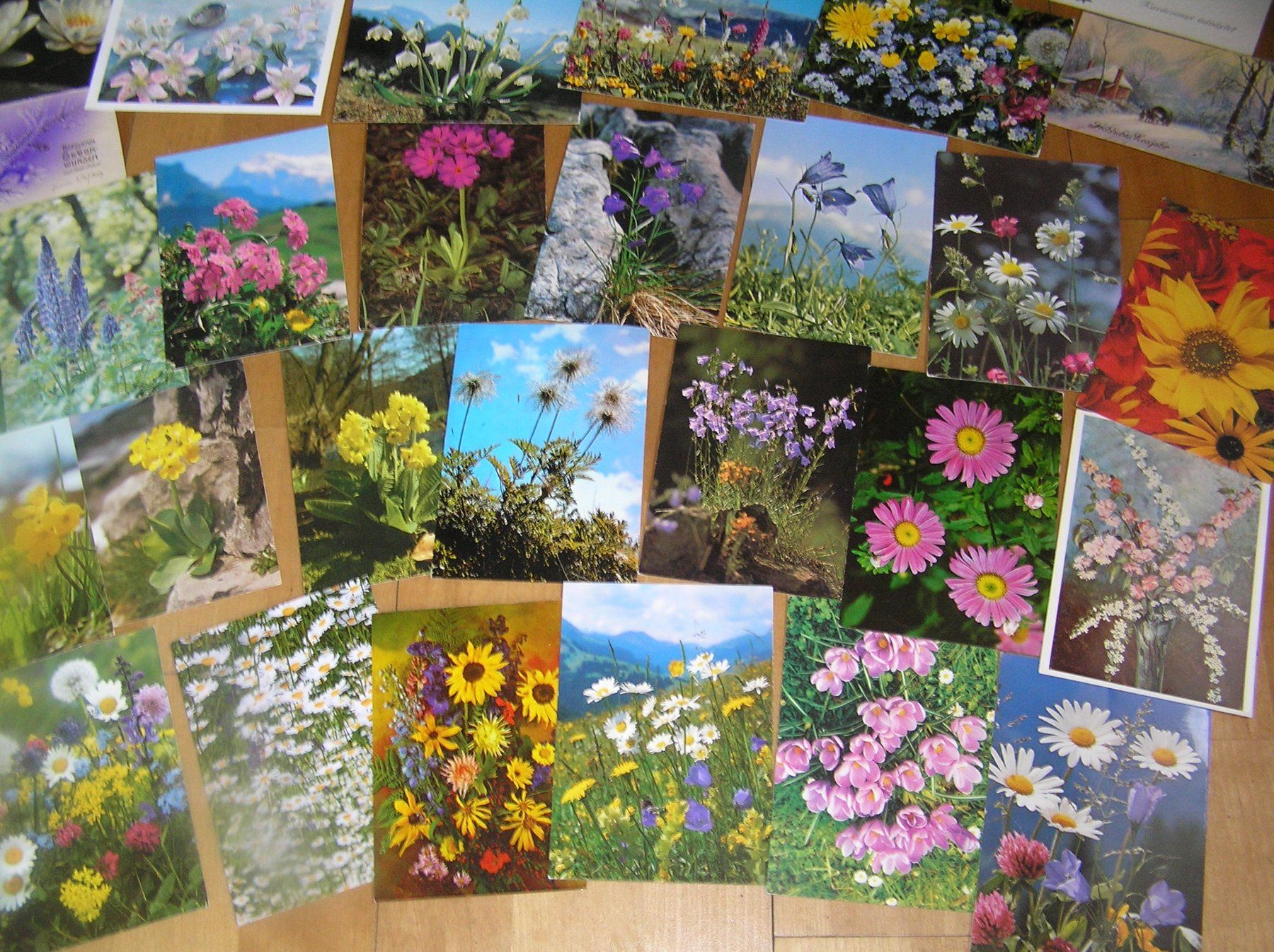 Cartoline postali: 200 Gruss - Blumenkarten – Usato da Lumbrein venduto da made02 8