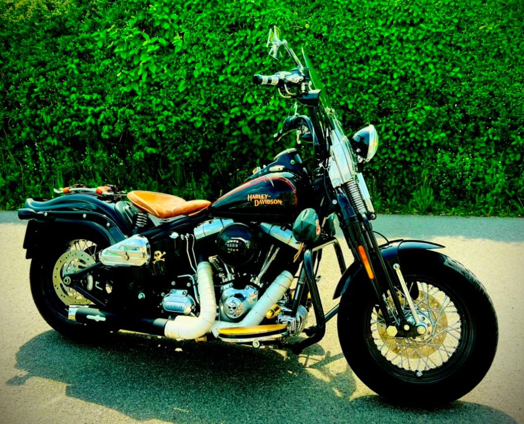 Chopper: Harley Davidson Crossbones – Usato da Sevelen venduto da Ritiplampi