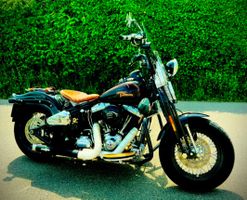 Harley Davidson Crossbones