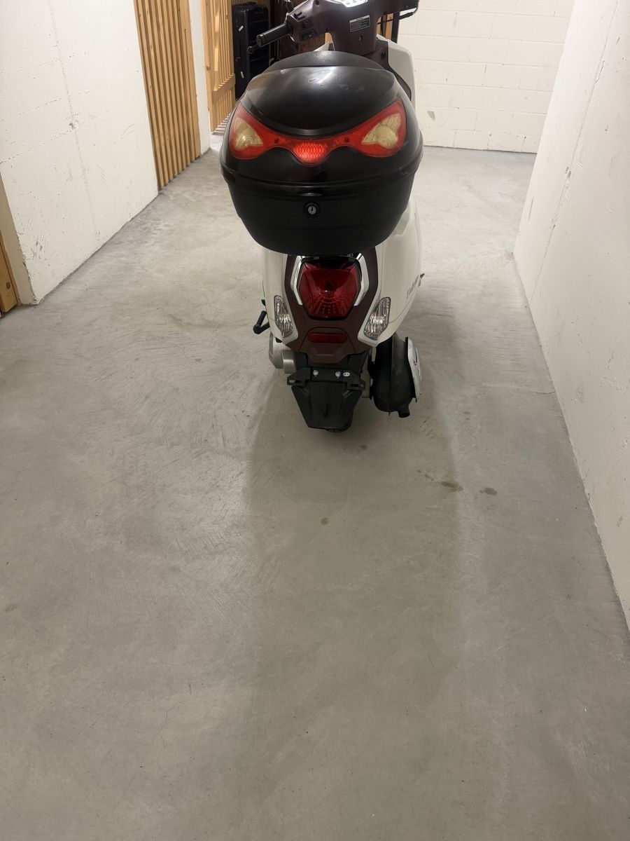 Tell Scooters: Tell Zahara 125i – Gebraucht aus Regensdorf von mex5145 8