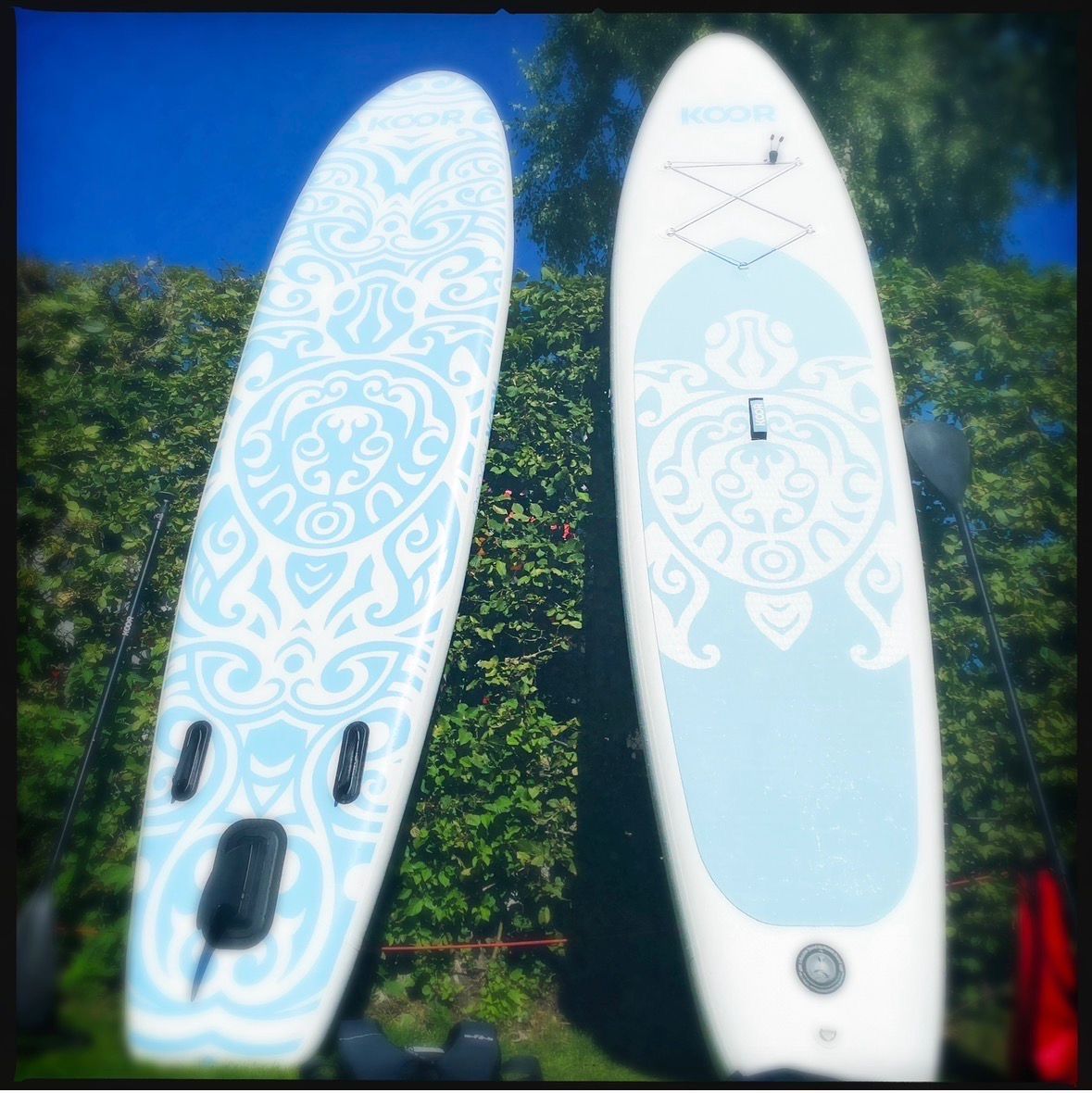 Tavole da surf e di nuoto: SUP Board Koor Nuusa Allround – Usato da Glashütten venduto da ben_6vnl