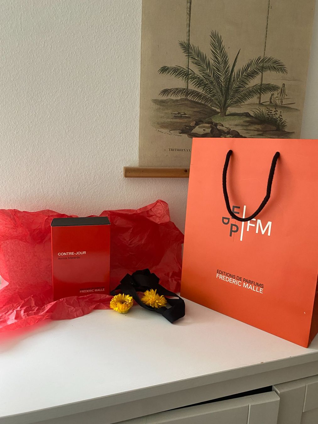 Frédéric Malle Profumi & Eau de Toilette: Parfum 100ml: Frédéric Malle Contre-Jour – Nuovo e nell'imballaggio originale da Zürich venduto da berebol 1