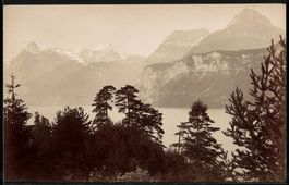 Fotografie Brunnen, der Urnersee mit Alp