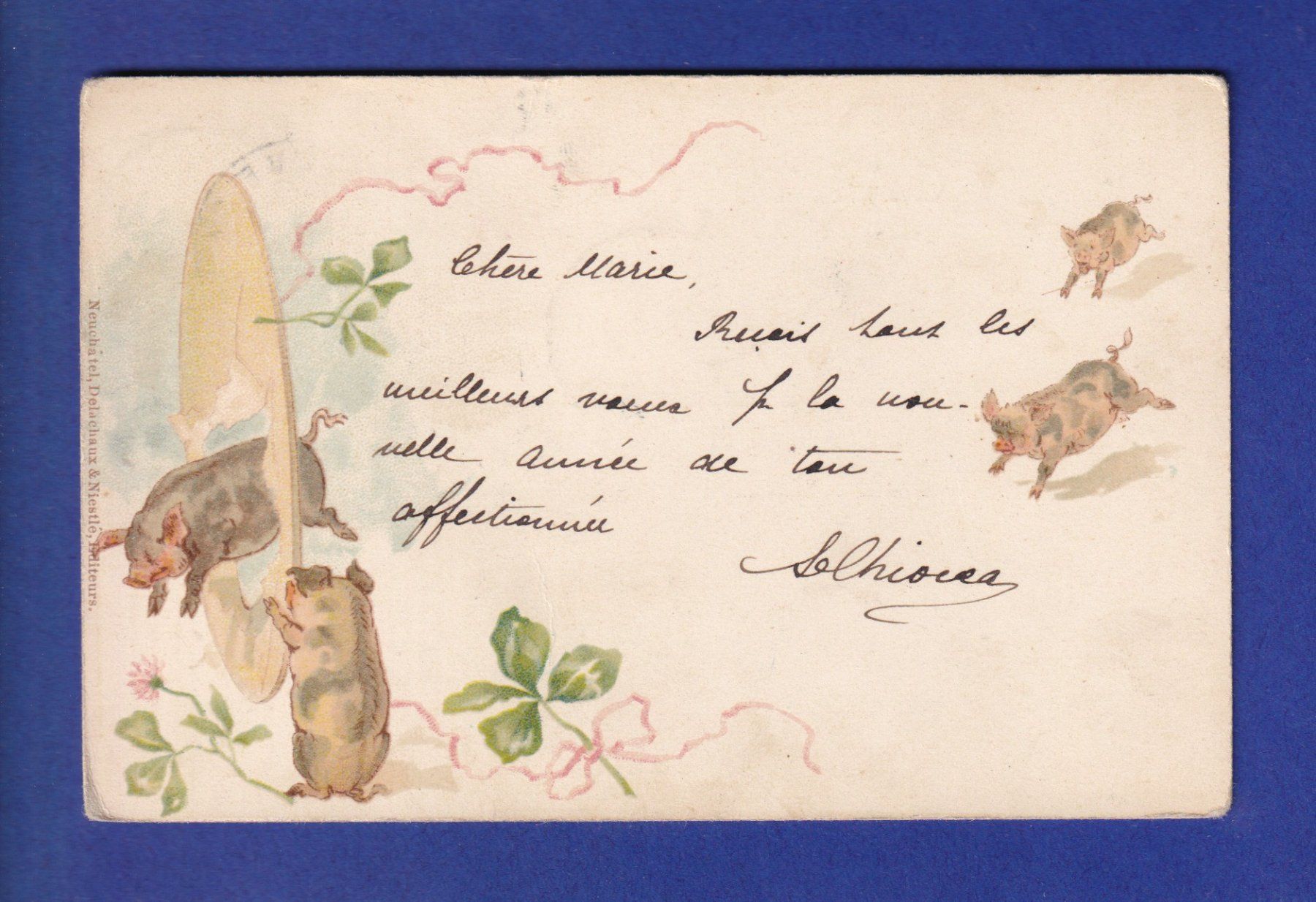 Cartoline postali: COCHONS – Usato da Pully venduto da nicecards-shop