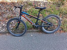 20 Zoll Kindervelo