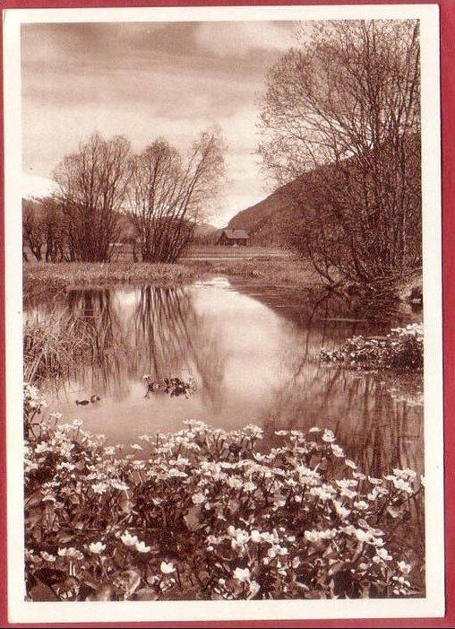 Cartoline postali: ALBERT STEINER: CELERINA, GROSSFORMAT – Usato da Grüningen venduto da Kartenlaube