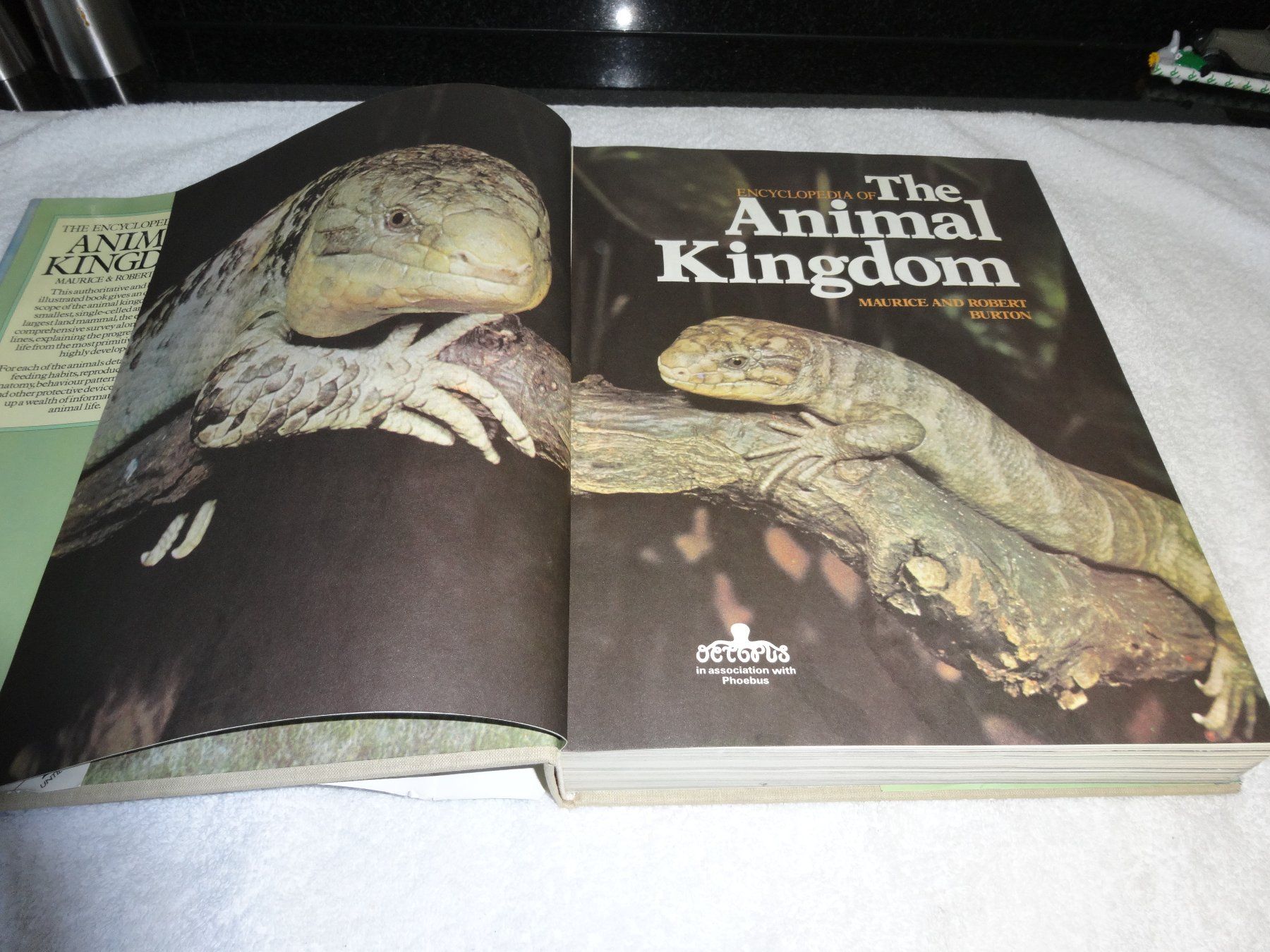 Libri: Animal Kingdom – Usato da Neerach venduto da jenny062 1