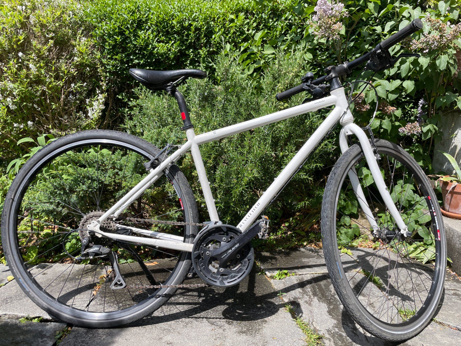 MTB Cycletech Biciclette: MTB Cycletech Andale 28 Man Magnesiumweiss Matt – Usato da Zürich venduto da lar_8z5c 1