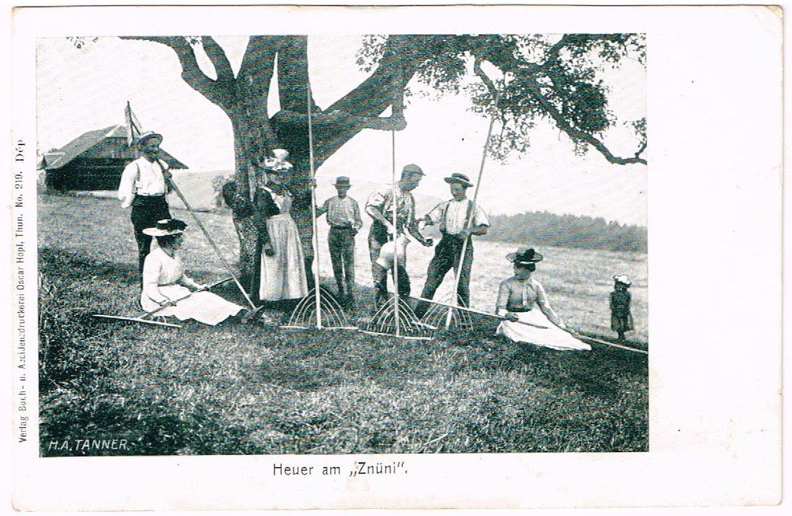 Ansichtskarten: Landwirtschaft/Heuen 1910 mit Rechen BE? – Gebraucht aus Wil SG von Clanx