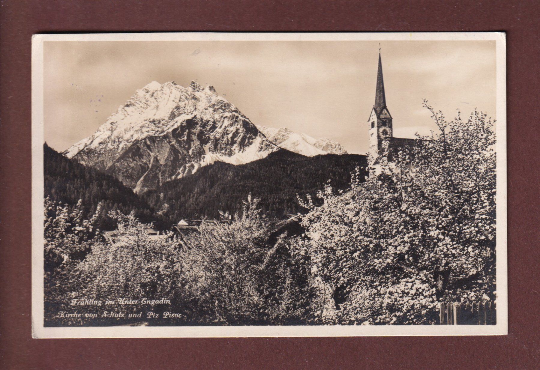 Cartoline postali: SCHULS - Kirche - Piz Pisoc - 1929 – Usato da Pully venduto da nicecards