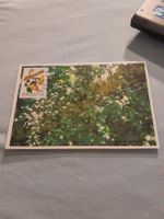 Carte postale ancienne Bophuthatswana - Nature rare!