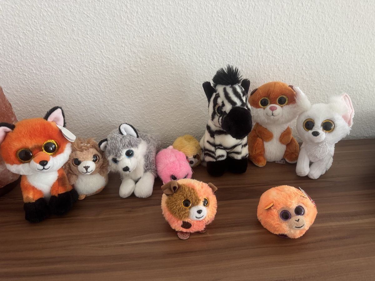 Ty Giocattoli: Kuscheltier mit Glitzer Augen Ty – Usato da Pfeffingen venduto da hai_9k7w 1