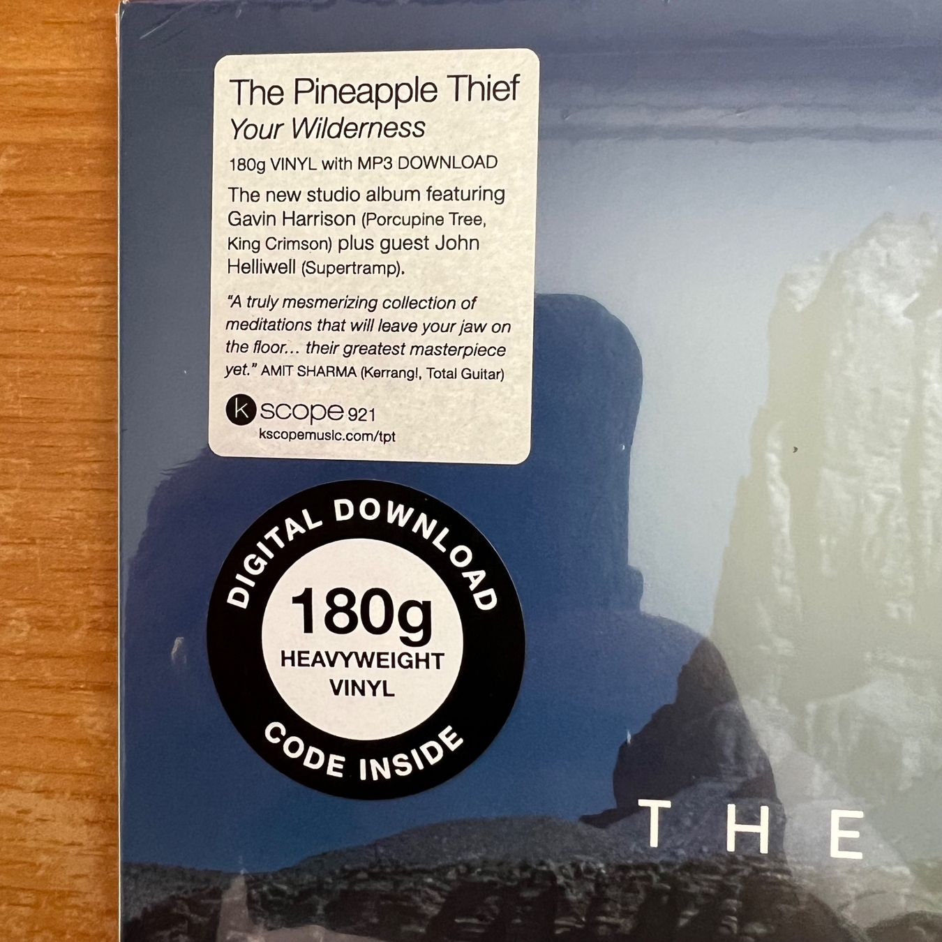 Dischi in vinile: Pineapple Thief - Your Wilderness / 1. EU-Press. 2016 - NEW – Nuovo e nell'imballaggio originale da Gais venduto da soundcave57 1