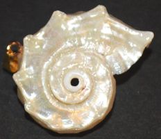 Anhänger L-8387 – Muschel Perlmutterfarbig