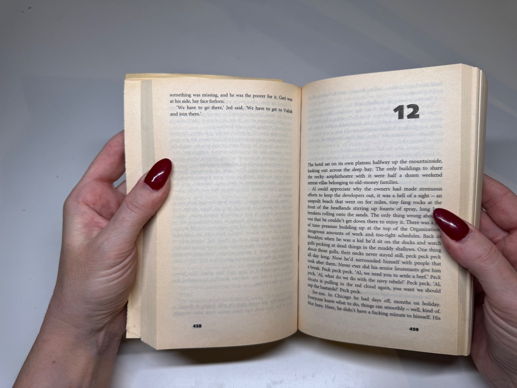 Libri: NOVEL: Peter Hamilton, The Neutronium Alchemist – Usato da Grosswangen venduto da English_books 6