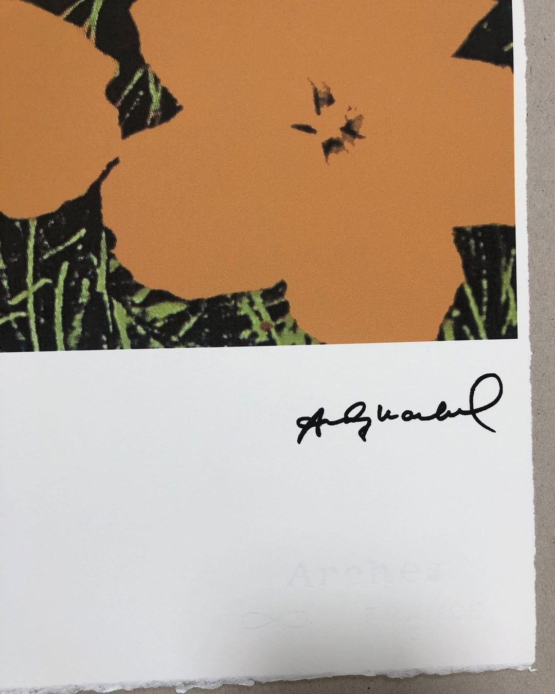 Foto & Immagini: Andy Warhol: Flowers 83/100 – Nuovo (secondo la descrizione) da Meilen venduto da Smgdesign 2