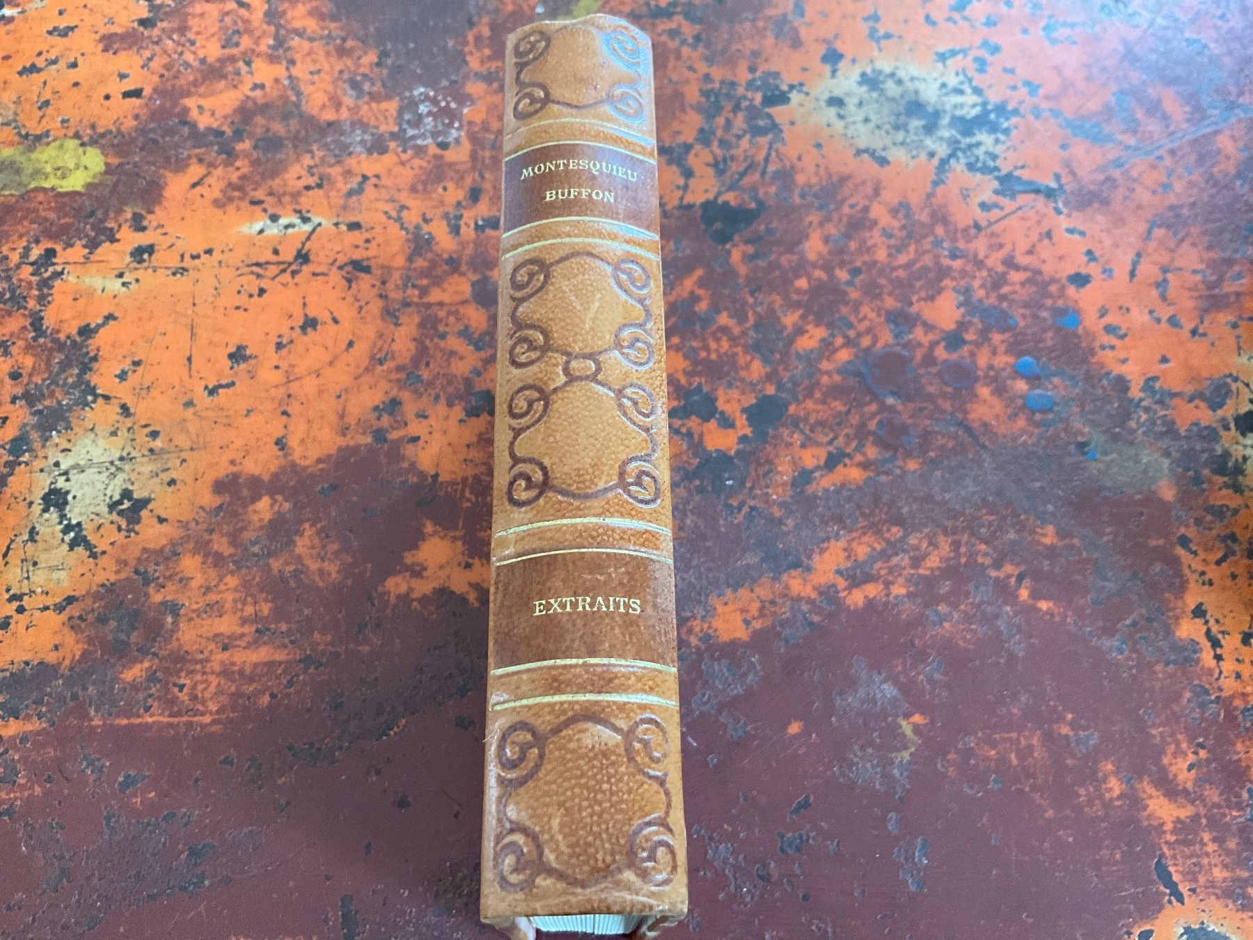 Libri: Montesquieu Considérations Reliure cuir – Usato da Delémont venduto da vinylfreak01 1