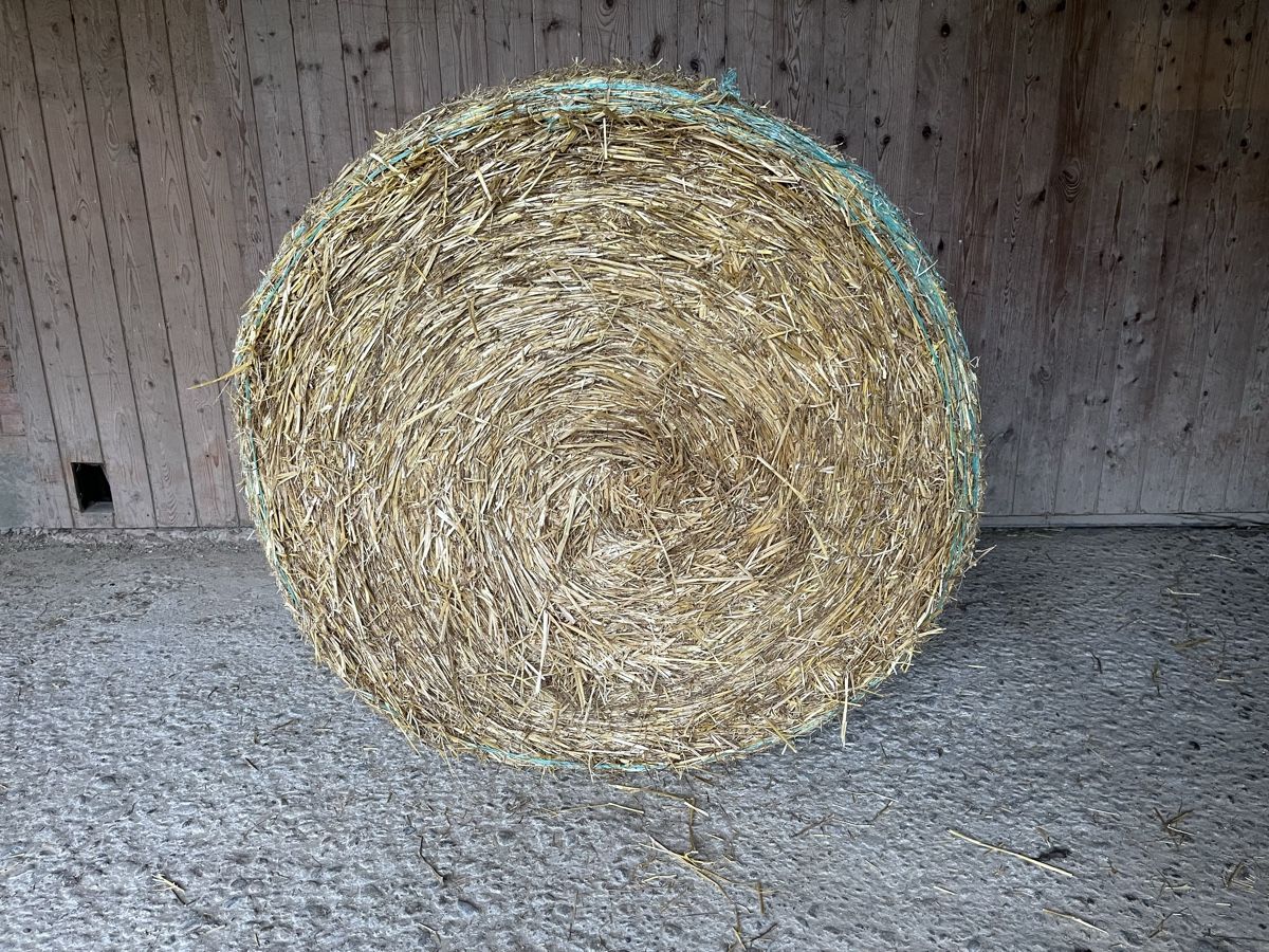 Mangimi: Schönes Bio Hafer- und Weizenstroh – Nuovo e nell'imballaggio originale da Auswil venduto da GV007