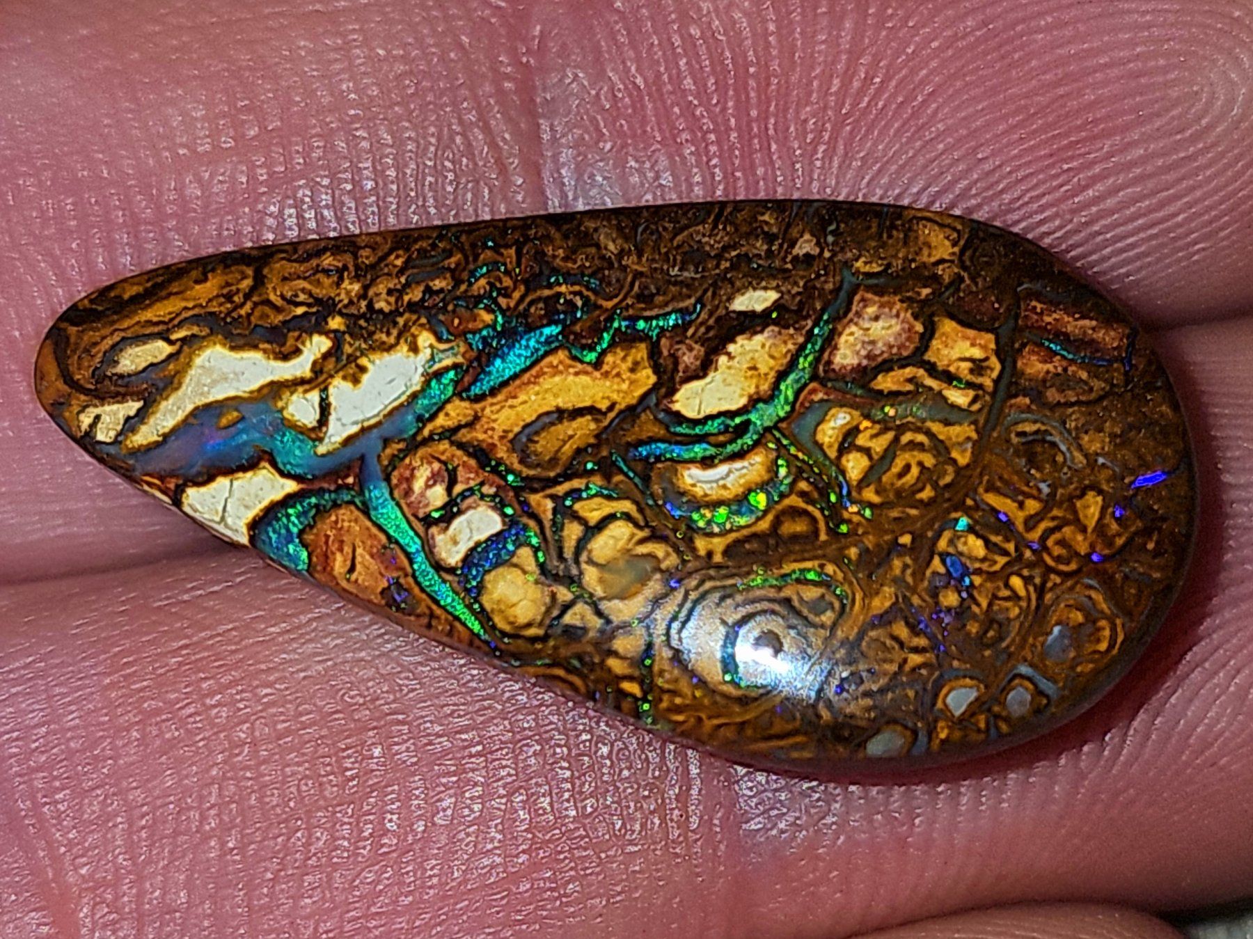Pietre preziose: Australischer (Koroit) Boulder Opal – Nuovo e nell'imballaggio originale da Uerkheim venduto da Winwinner 3