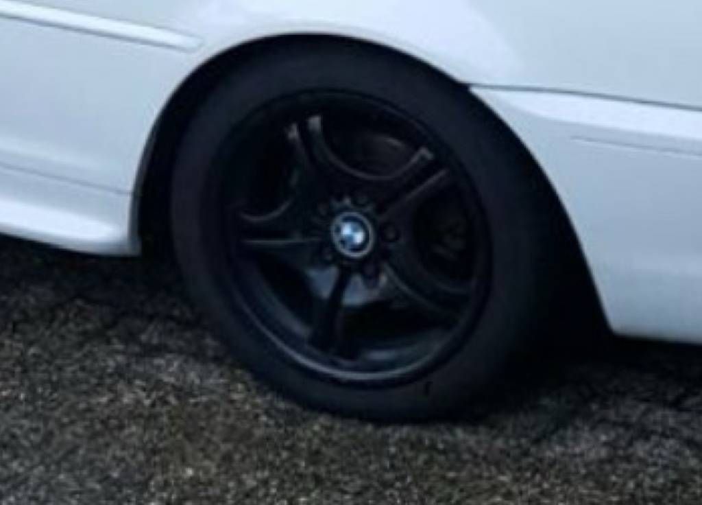 Cerchioni: BMW M-Tech Felgen  – Usato da Fischbach-göslikon venduto da Trinity16 1