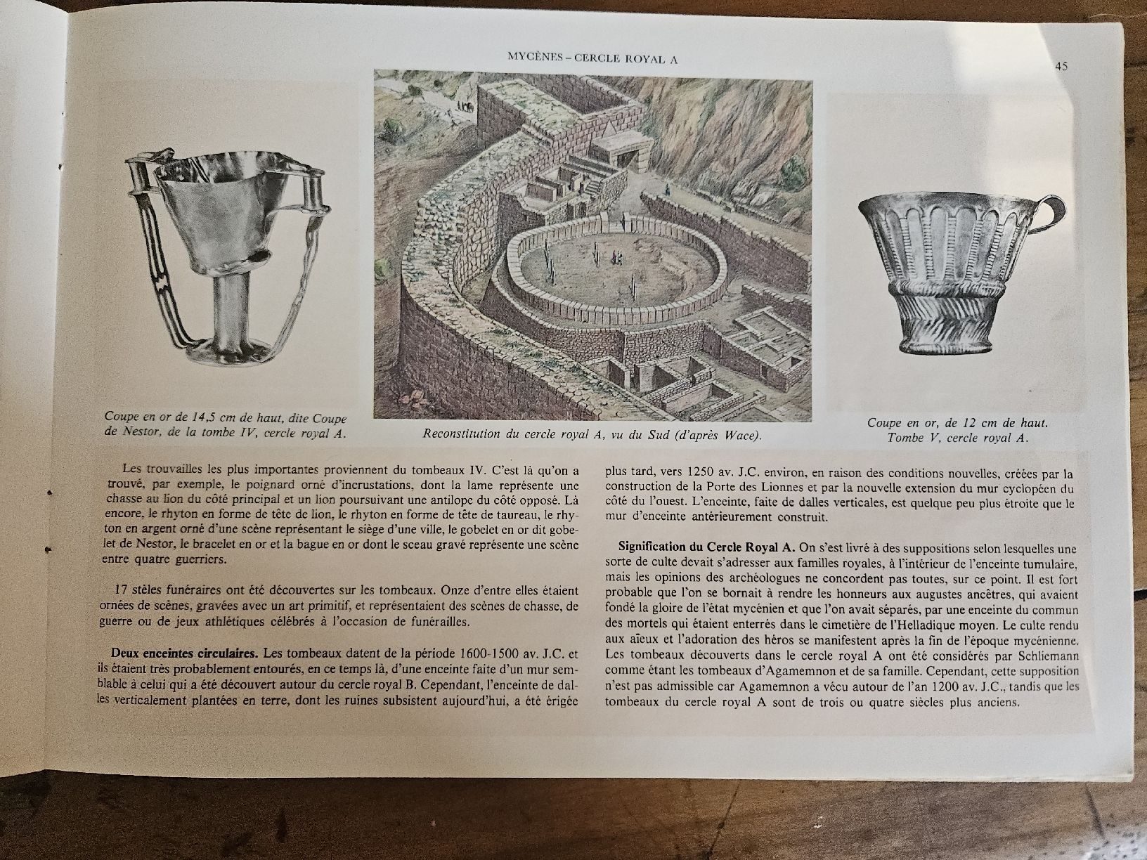 Libri: civilisation mycénienne – Usato da Thônex venduto da lacomtessedesfees 6