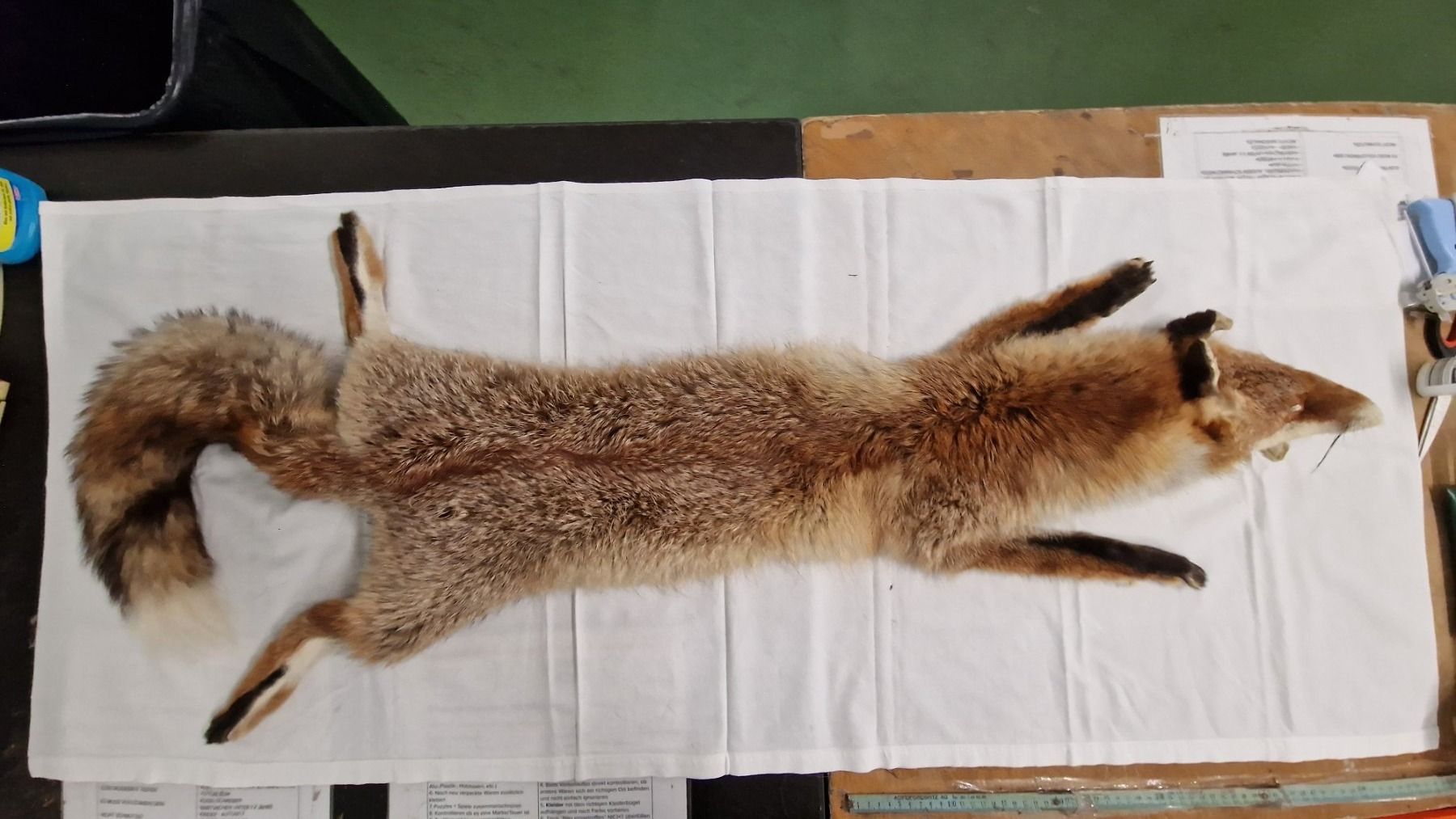 Welt der Tiere: Tierfell Fuchs – Gebraucht aus Pratteln von
