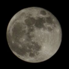Profile image of dro_p576