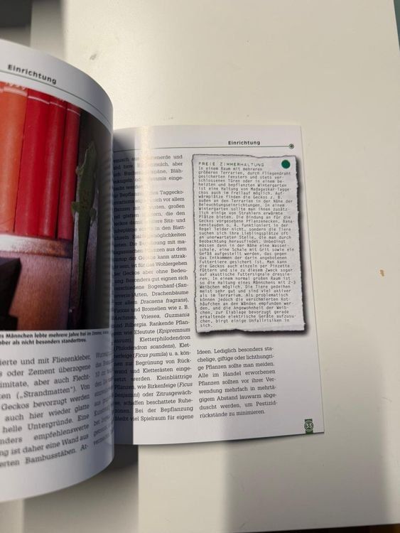 Libri: Der grosse Madagaskar-Taggecko – Nuovo e nell'imballaggio originale da Zürich venduto da Mousie 1