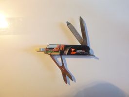 Victorinox Schwing- und Aelplerfest 2010