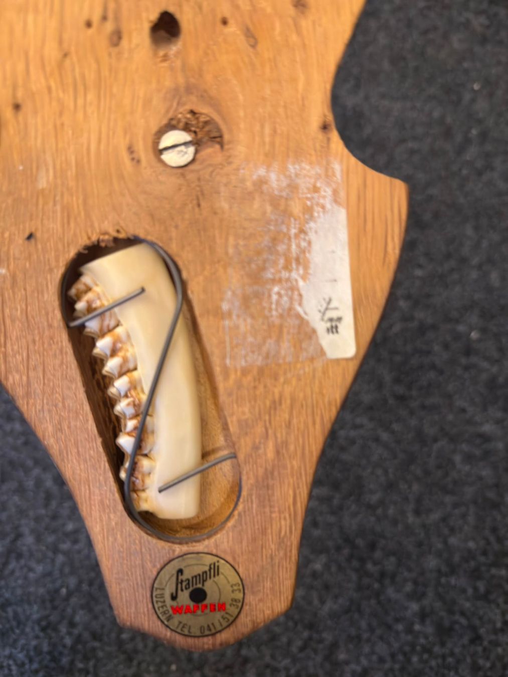Sonstiges zum Sammeln & Seltenes: Rehbock Geweih auf Holzschild – Gebraucht aus Luzern von Elgordo7 1
