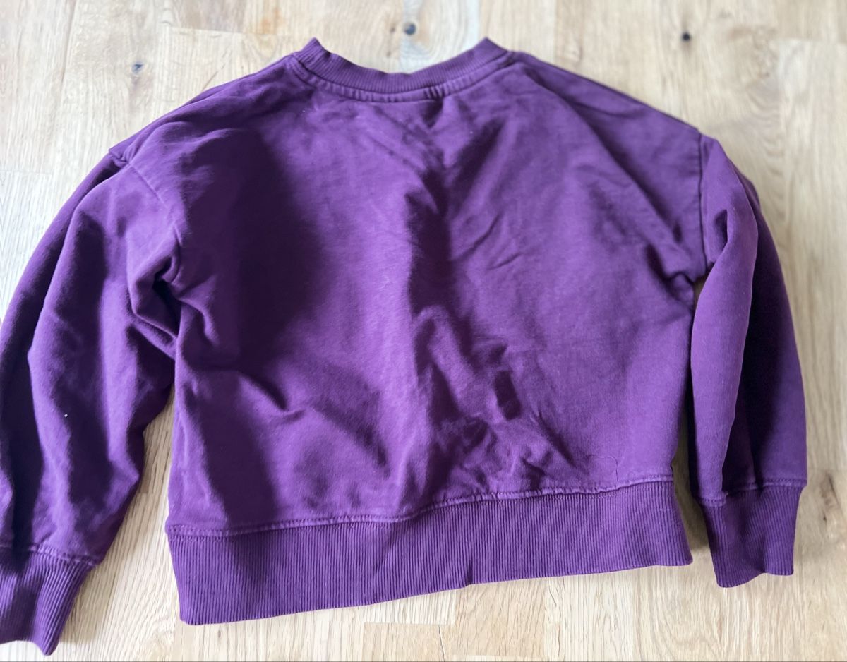 Maglioni & Felpe: The NEW baby Pullover Gr. 98-104 Mädchen Tauben – Usato da Zollikerberg venduto da Huglina 1