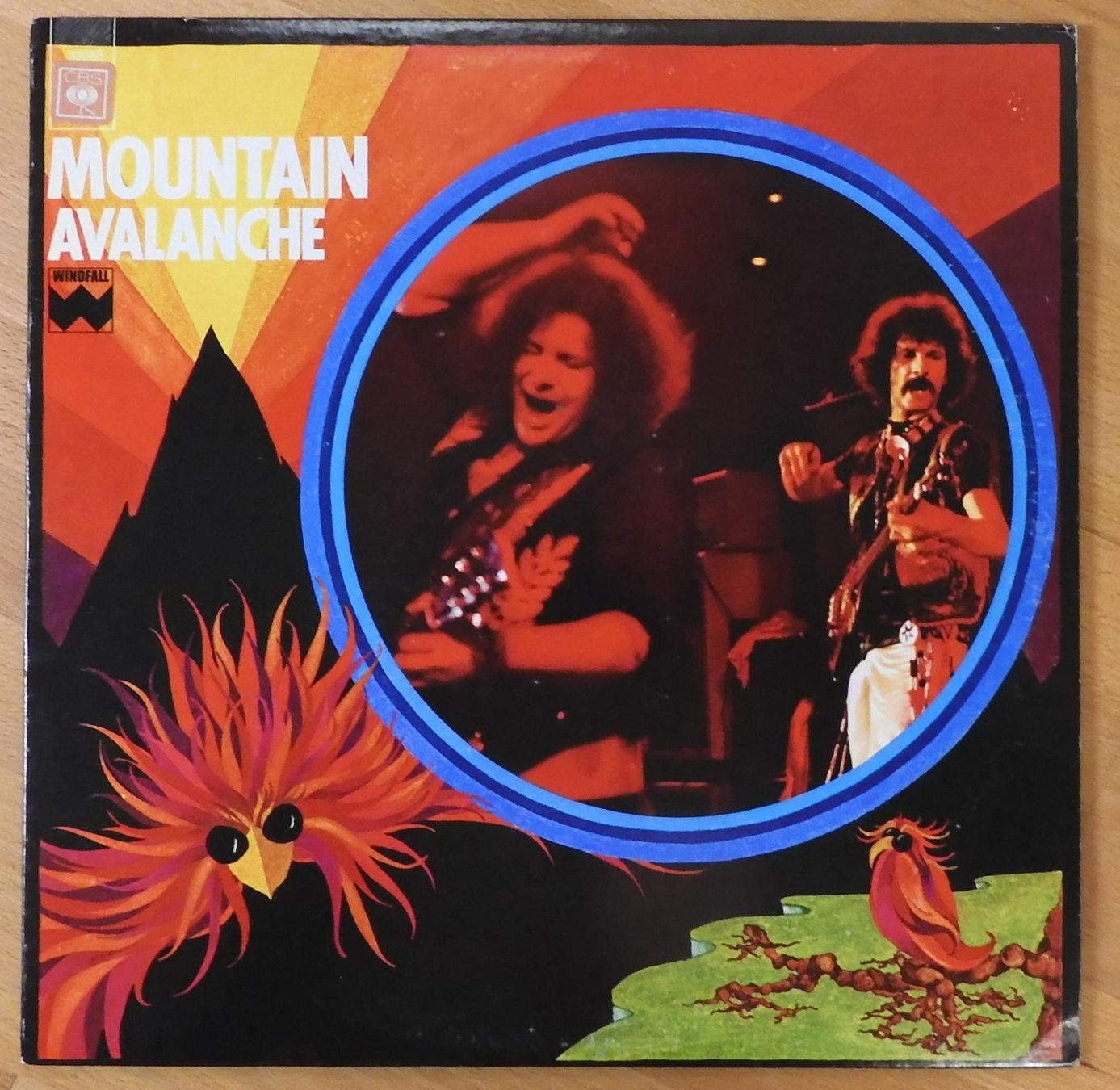Dischi in vinile: Mountain - Avalanche (LP) – Usato da Zürich venduto da Pfluftl2000