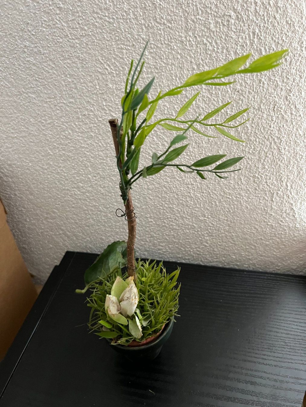 Toutes les décorations: Deko Pflanze mit Blüte – D'occasion à Wittenbach par Xastridx