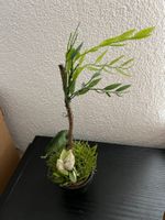 Deko Pflanze mit Blüte