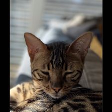 Profile image of Pef75