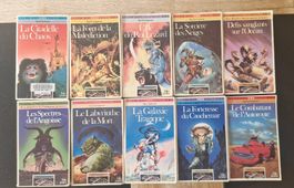 Livre dont vous êtes le héros - 10 Livres Défis Fantastiques