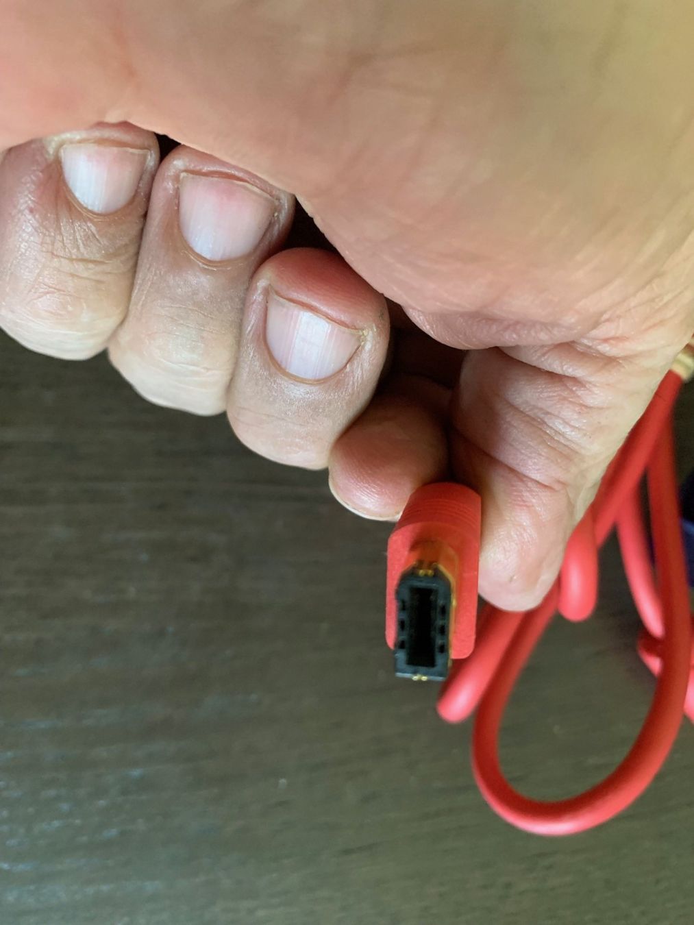 Lecteurs & Adaptateurs: Pinnacle Systems BlueBOX Adapter Kabel Rot 40160734 – D'occasion à Emmen par newdeal1970 7