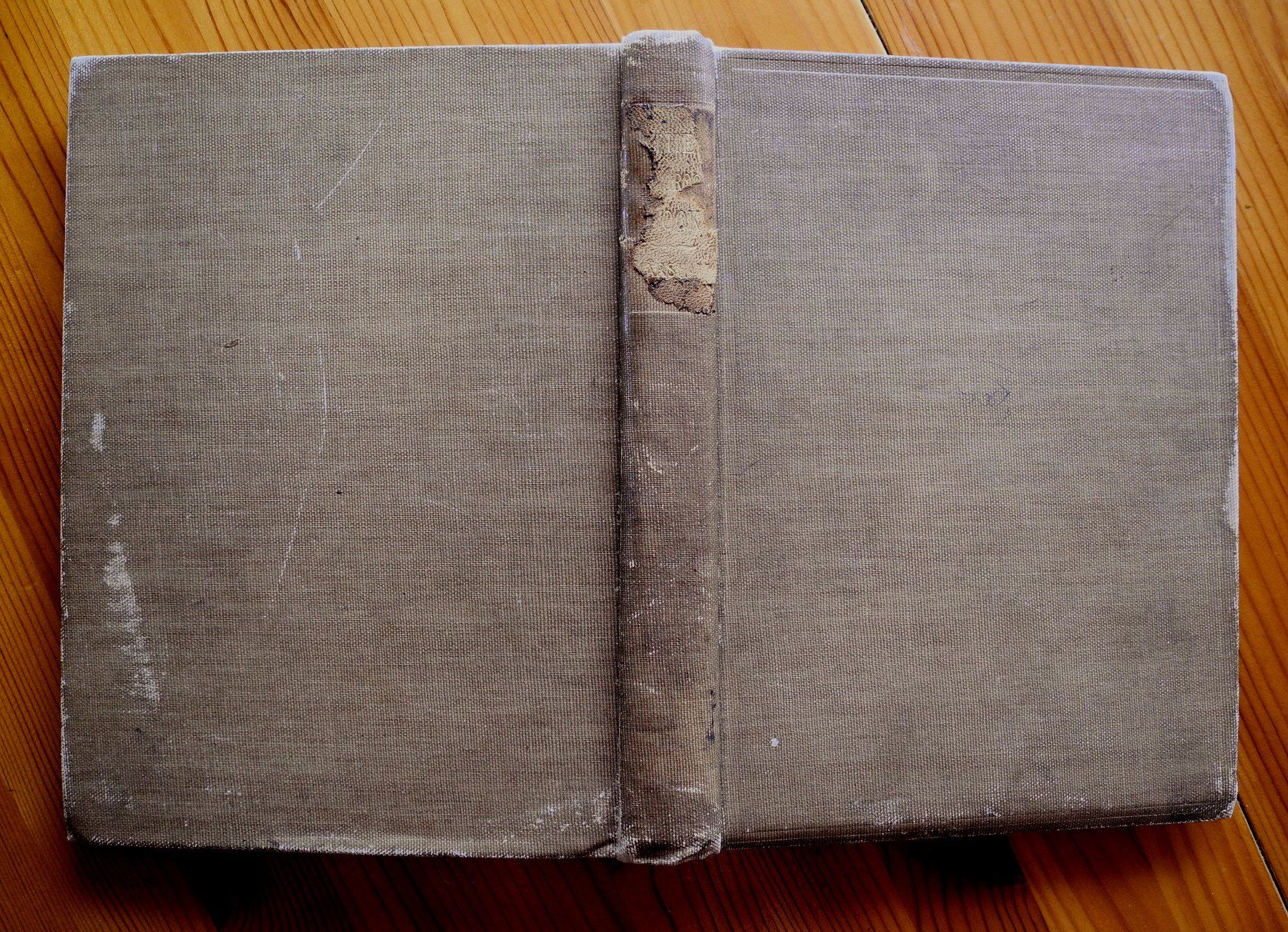 Livres: Pizbuch in Englisch – D'occasion à Praden par Minimalist 2