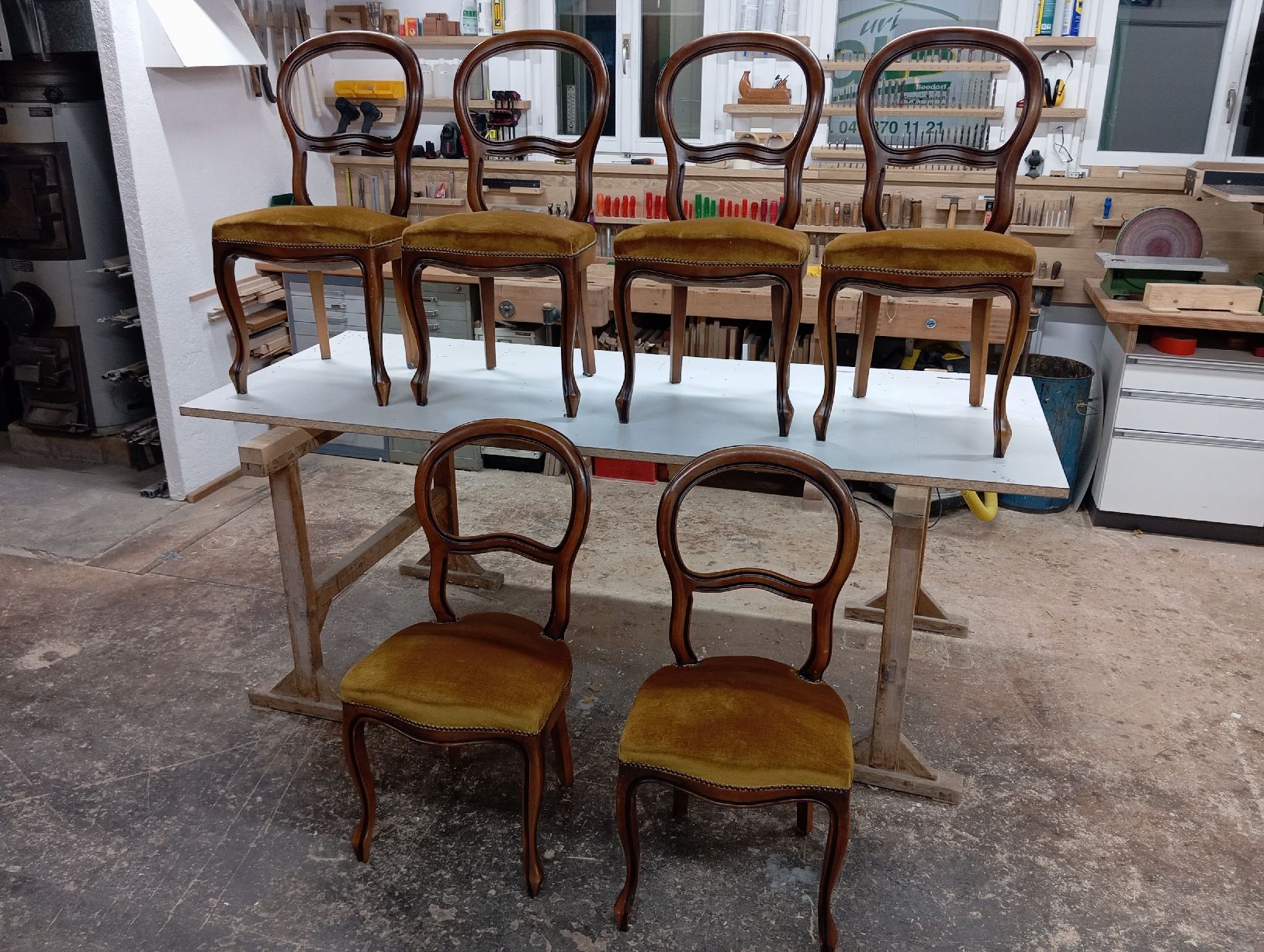 Stühle: 6er Set Stühle gepolster – Gebraucht aus Seedorf UR von 3beni