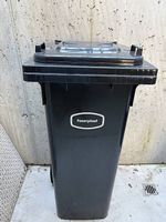 Bidone della spazzatura 140L