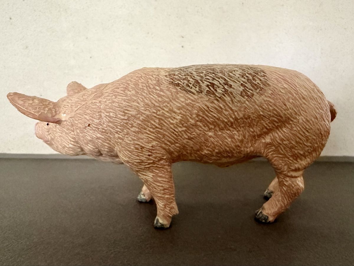 Statuette: Eber aus Kunststoff – Usato da Oberhasli venduto da anzis 1