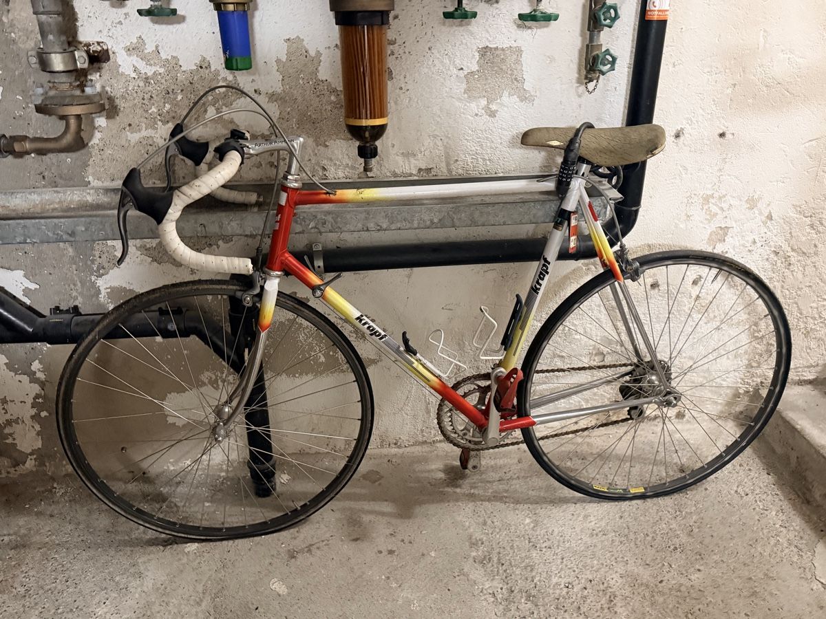 Biciclette: Krapf Oltimer Rennvelo – Usato da Zürich venduto da fla_qk9v
