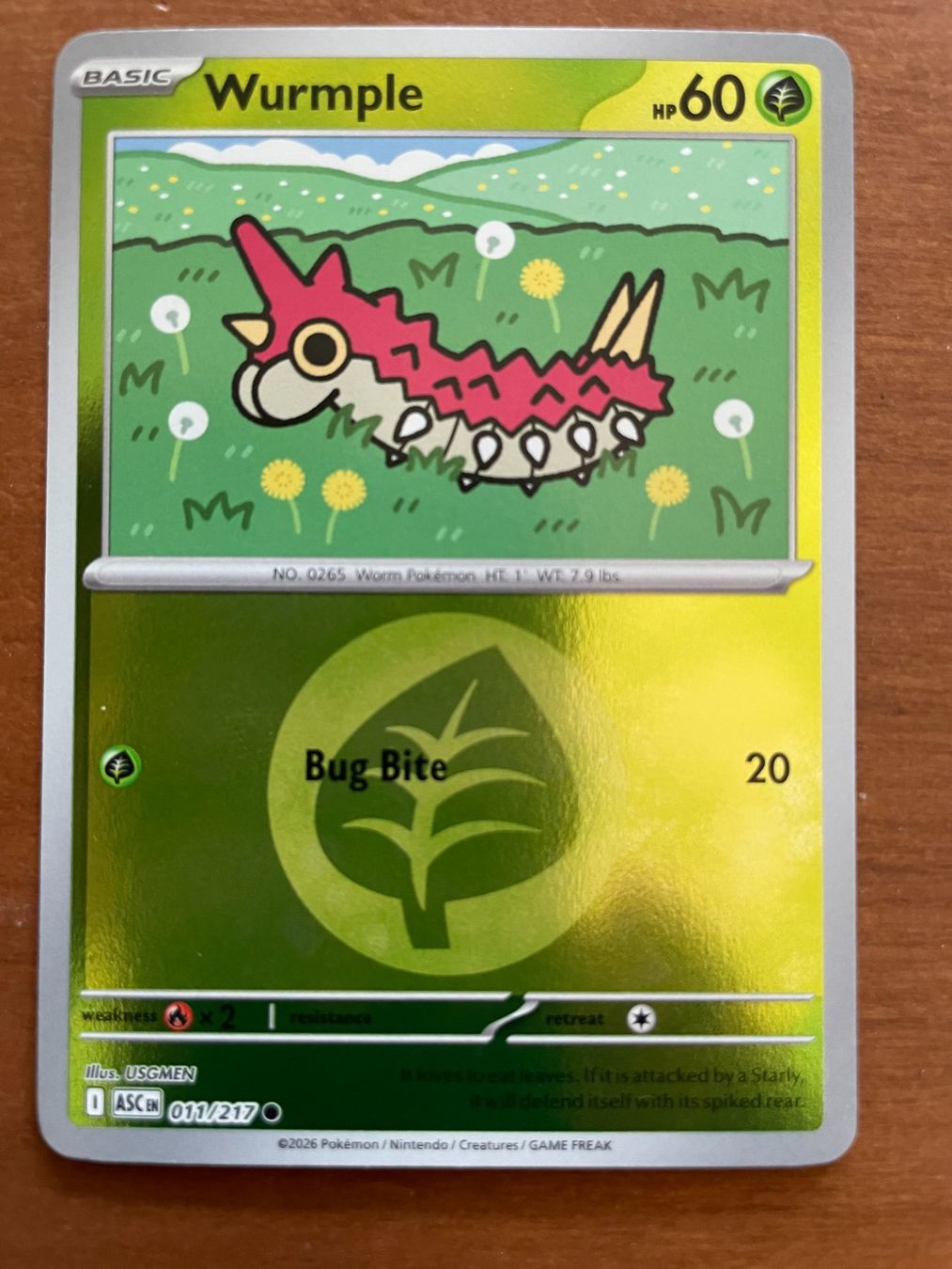 Pokémon Sammelbilder & Trading cards: Pokemon Wurmple Reverse (Versand gratis) – Neu (gemäss Beschreibung) aus Chur von Angerson