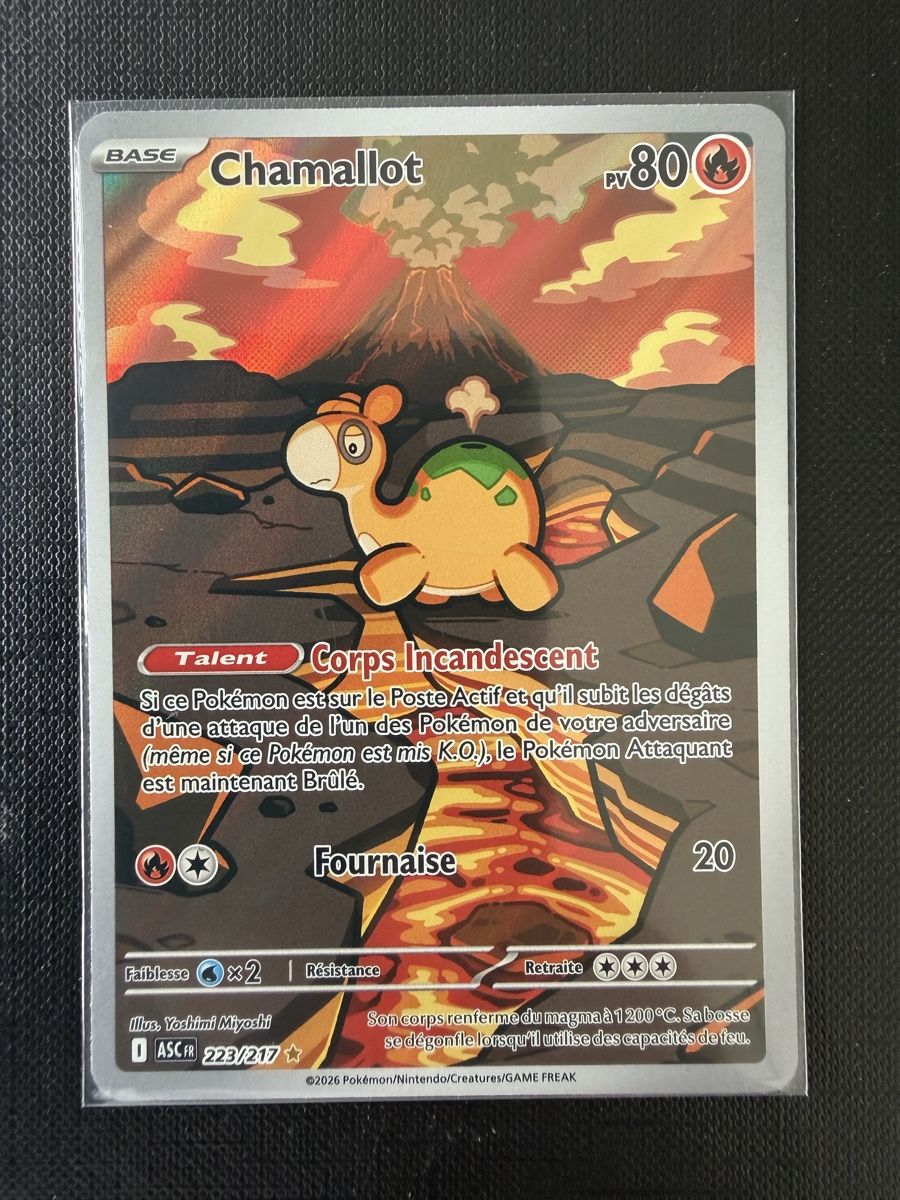 Pokémon Carte collezionabili: Chamallot #223 ASC FR – Nuovo (secondo la descrizione) da Savigny venduto da Matgab94