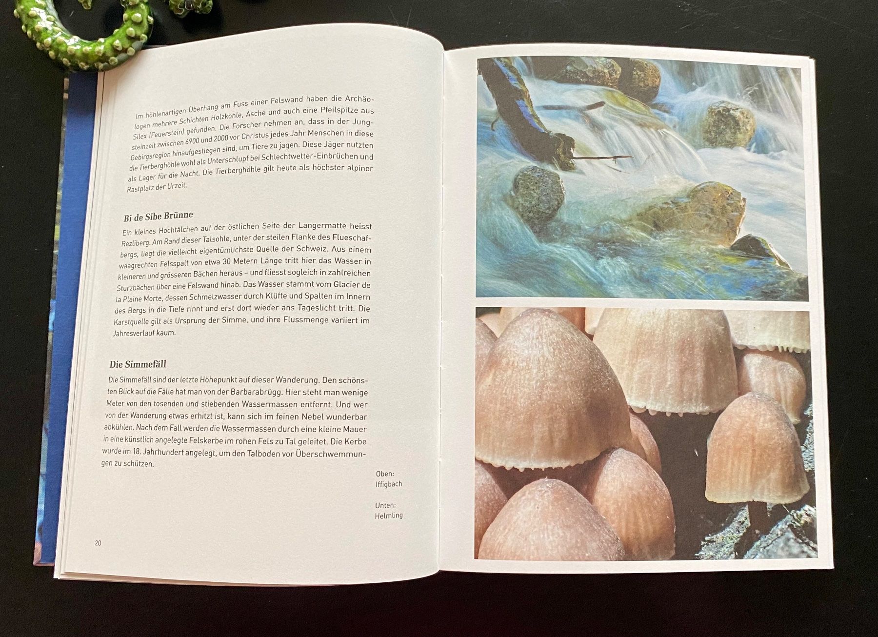Livres: Wald & Wasser / 2017 – D'occasion à Nussbaumen AG par schuba2000 1