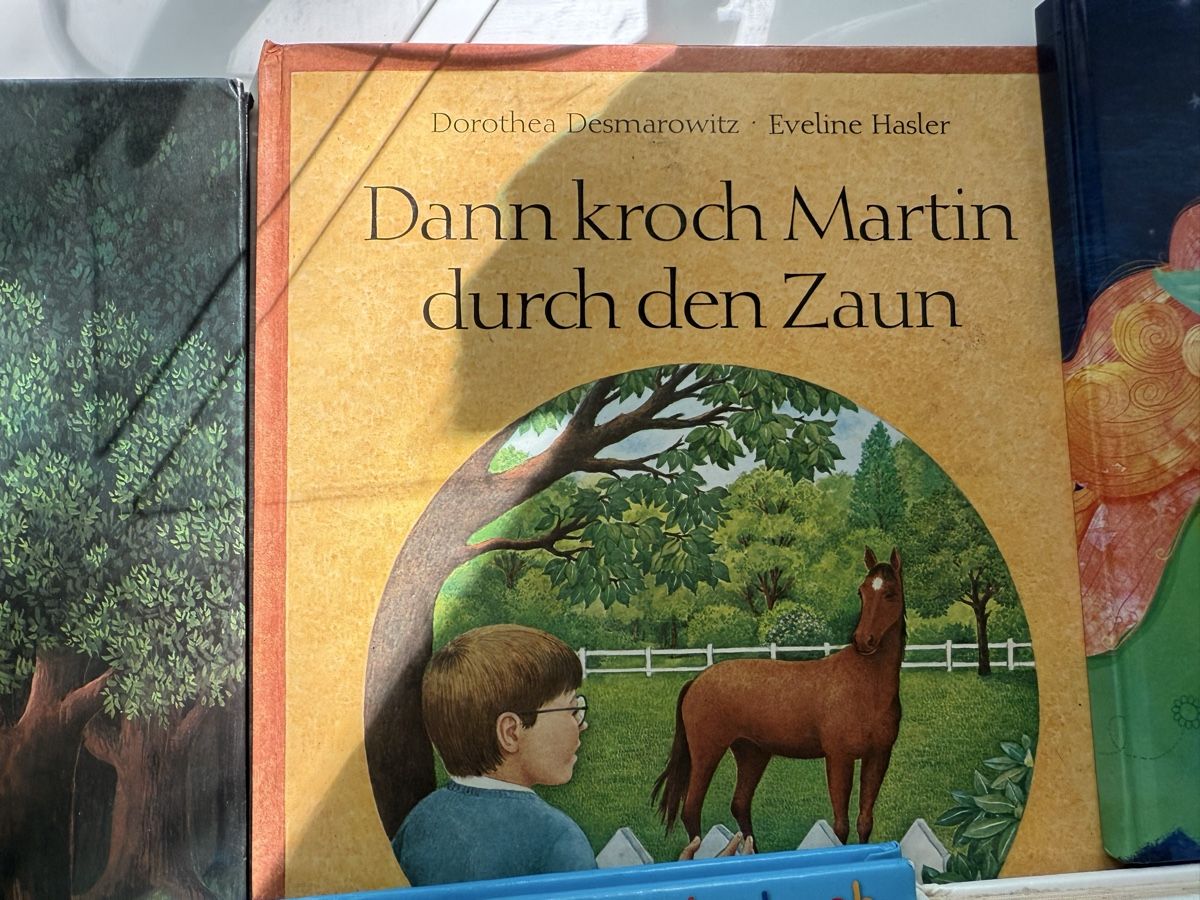 Libri: Paket mit 10 Kinderbüchern Deutsch – Usato da Zürich venduto da Vma_reuse 7