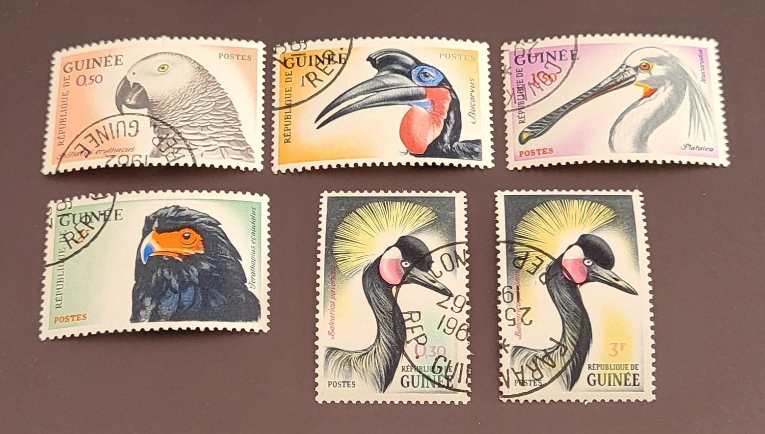 Tutti i francobolli: Guinea 1962 Vogel briefmarken – Usato da St Gallen venduto da Stampsalshobby